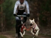 bikejor4