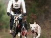 bikejor5