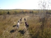 4-Wheeler Training - Oct. 13, 2009                               