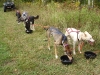 4-Wheeler Training - Sept. 30, 2009                               