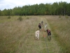 4-Wheeler Training - Oct. 2, 2009                               