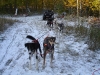 First Snow of the Year! - Oct. 10, 2009                               