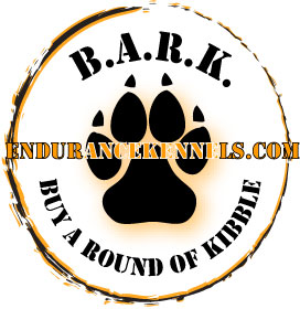 bigbark bigbark