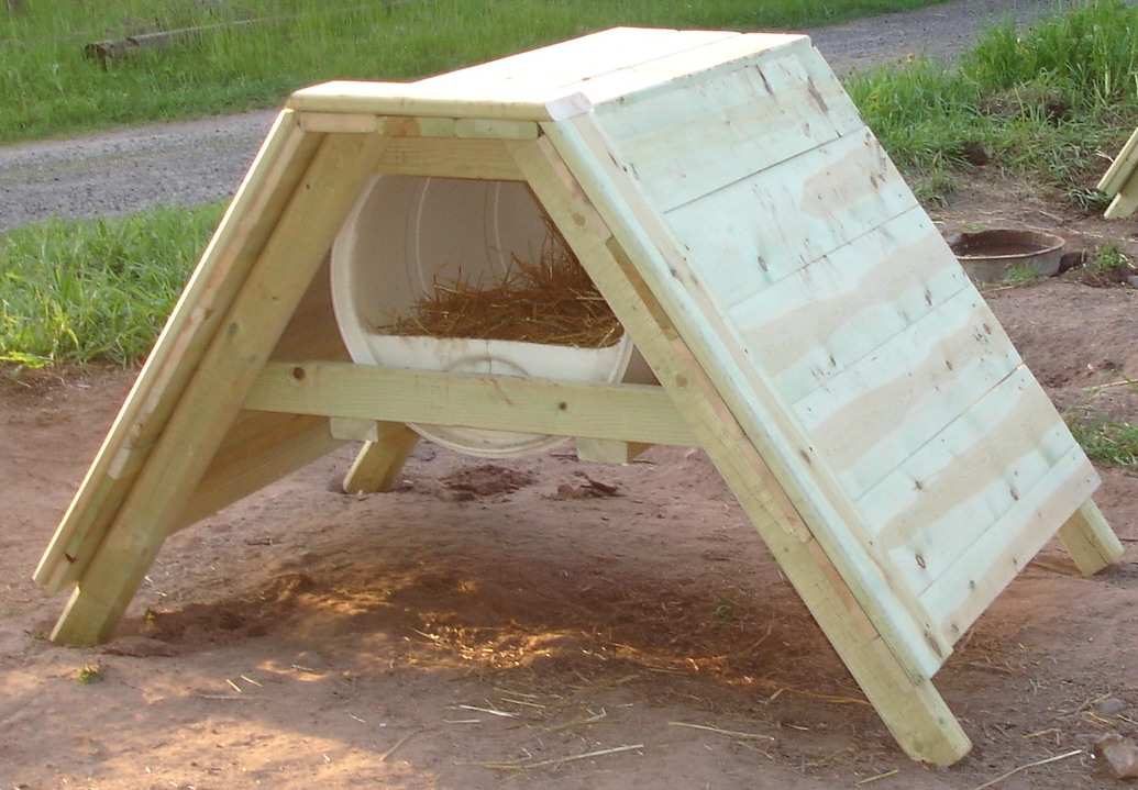 How to Build a Sled Dog House | Plans-Materials-Design-Video