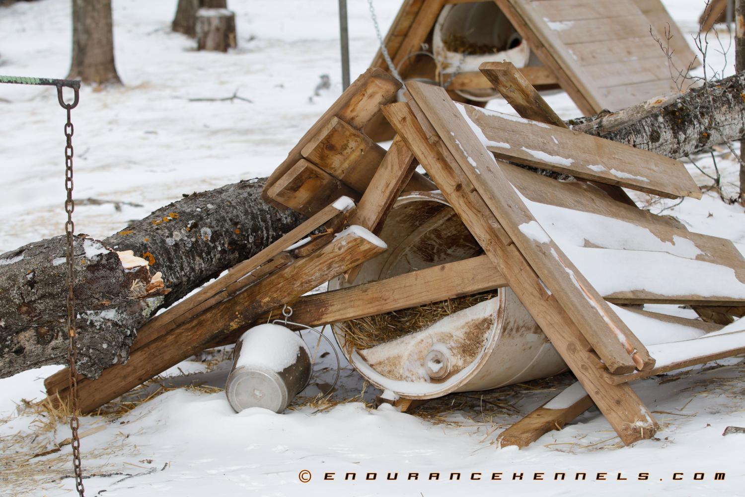How To Build A Sled Dog House Plans Materials Design Video A Frame And Plywood How To Build A Sled Dog House Plans Materials Design Video A Frame And Plywood